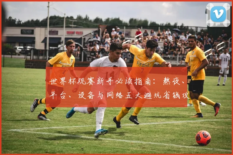 世界杯观赛新手必读指南：熬夜、平台、设备与网络五大避坑省钱攻略